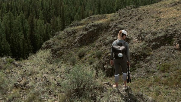 Quels sont les meilleurs spots pour observer les tortues vertes aux Galápagos : conseils et meilleures périodes ?