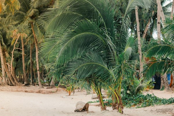 Quels sont les meilleurs itinéraires pour une randonnée dans les montagnes de la Sierra Nevada, Espagne : conseils et équipements ?