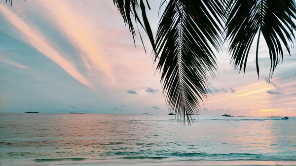 Où pratiquer la spéléologie dans les grottes de Waitomo, Nouvelle-Zélande : équipements et sécurité ?